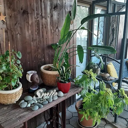 Denge Homes * Никосия